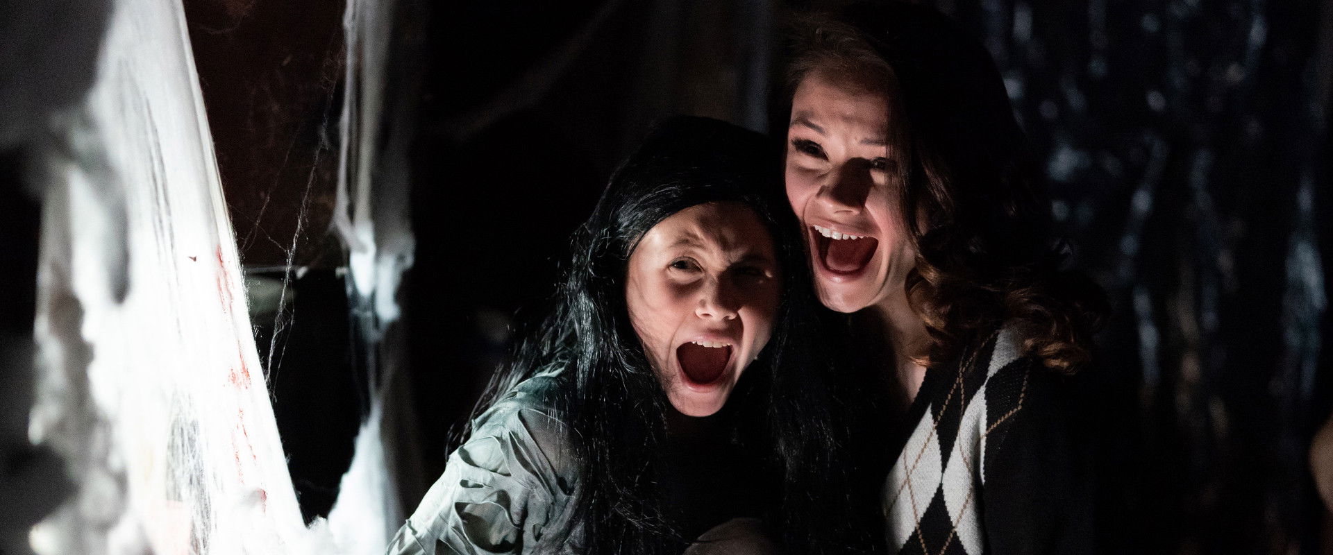 Natty Knocks backdrop