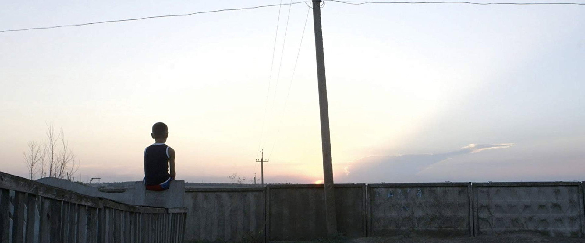 The Distant Barking of Dogs backdrop