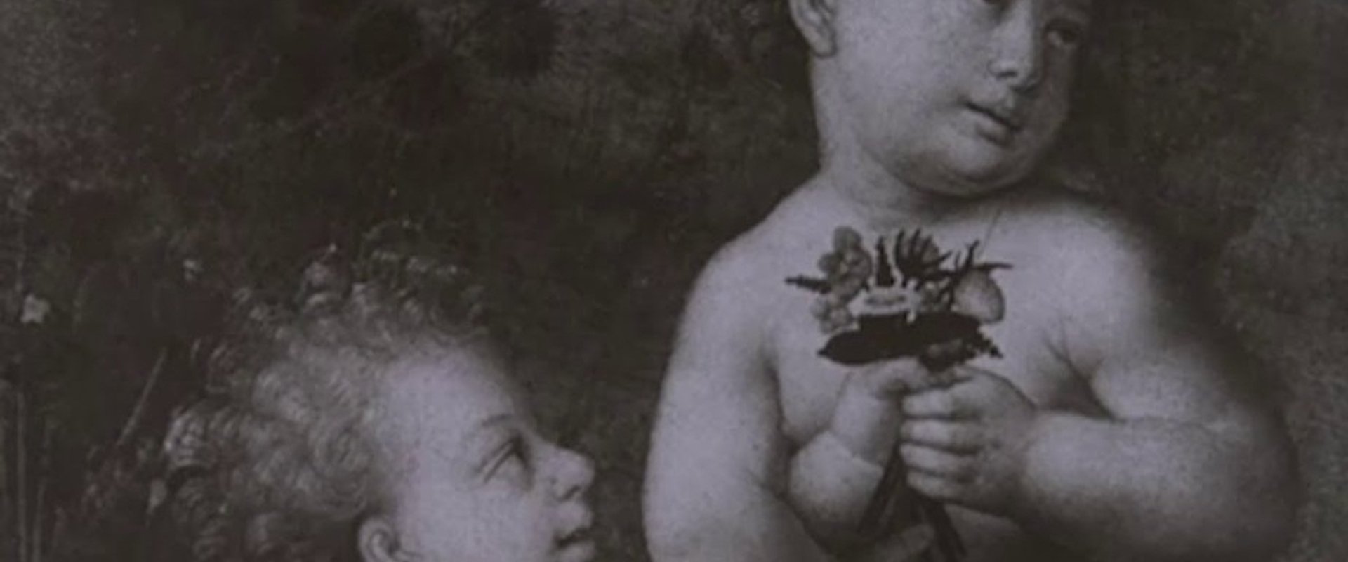 Leonardo Da Vinci The Tragic Pursuit of Perfection backdrop