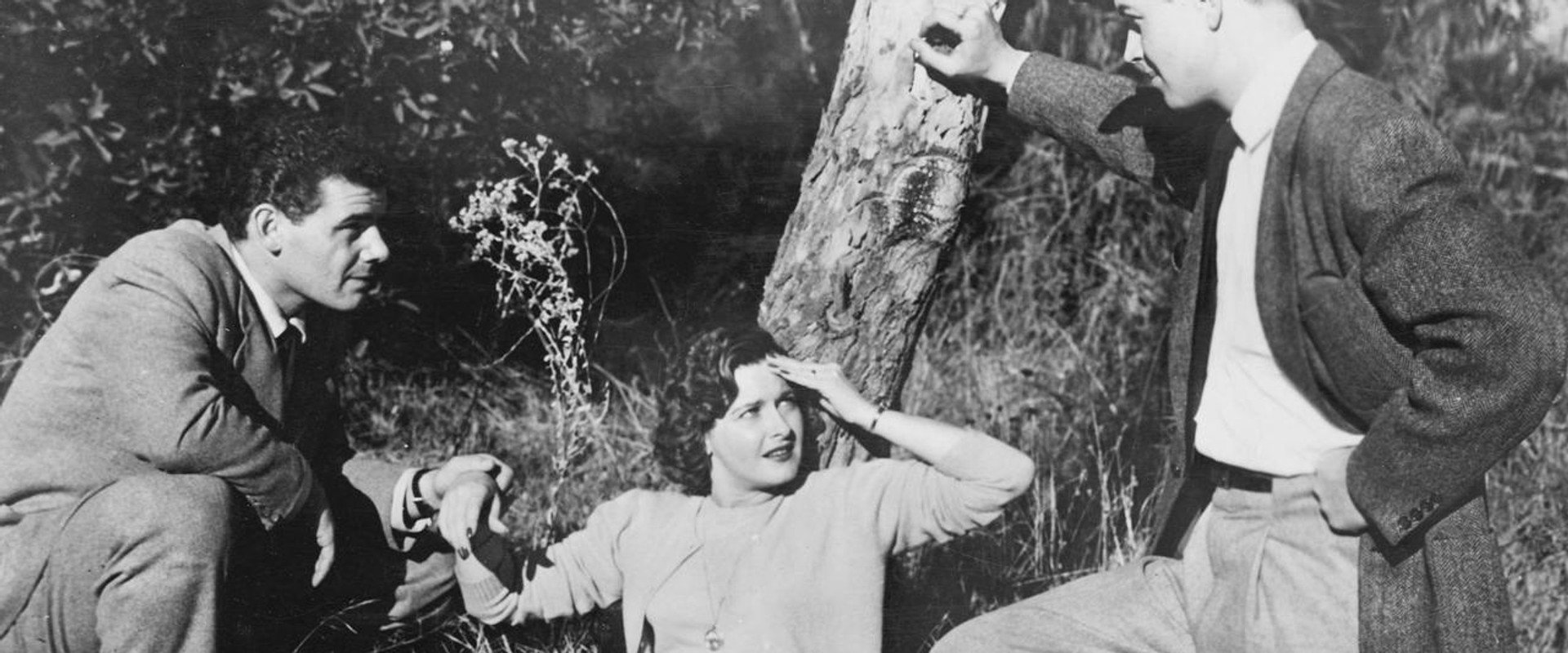 Phantom from Space backdrop