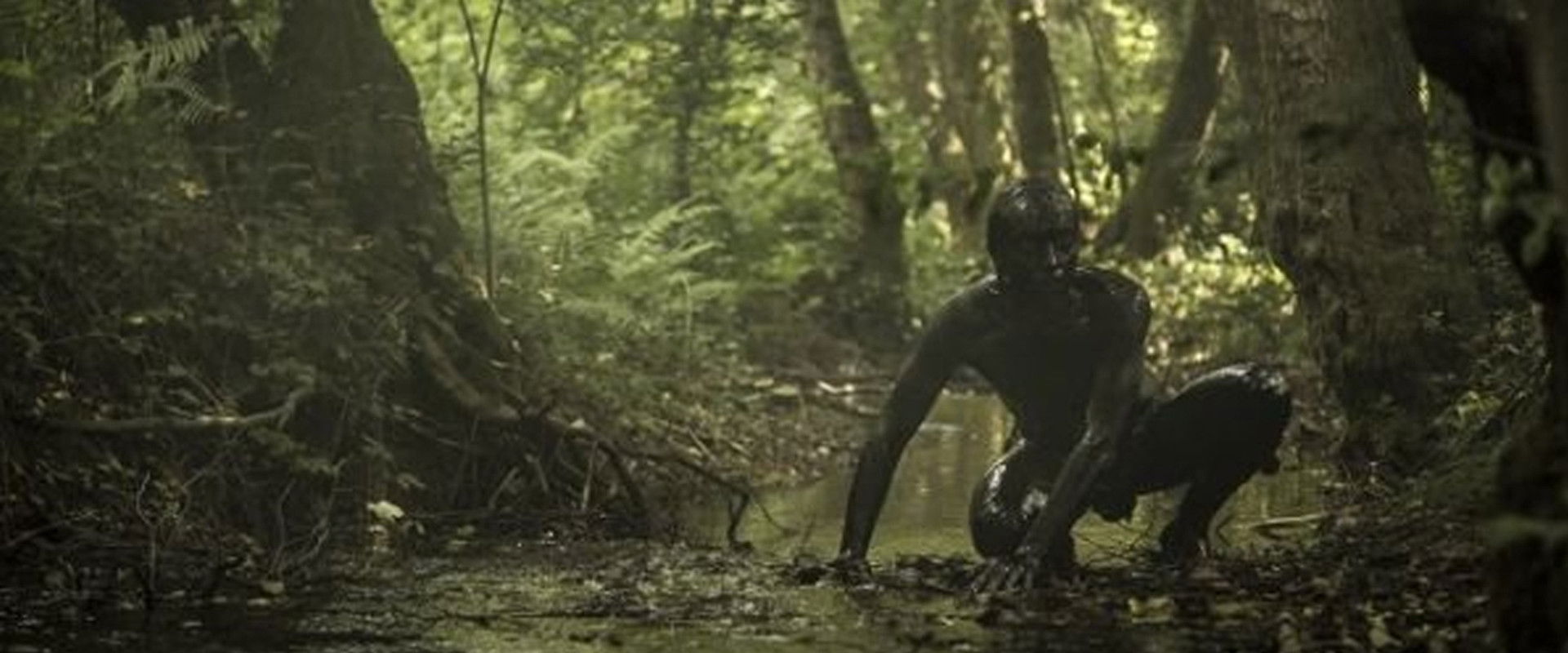 The Book Of Vision backdrop