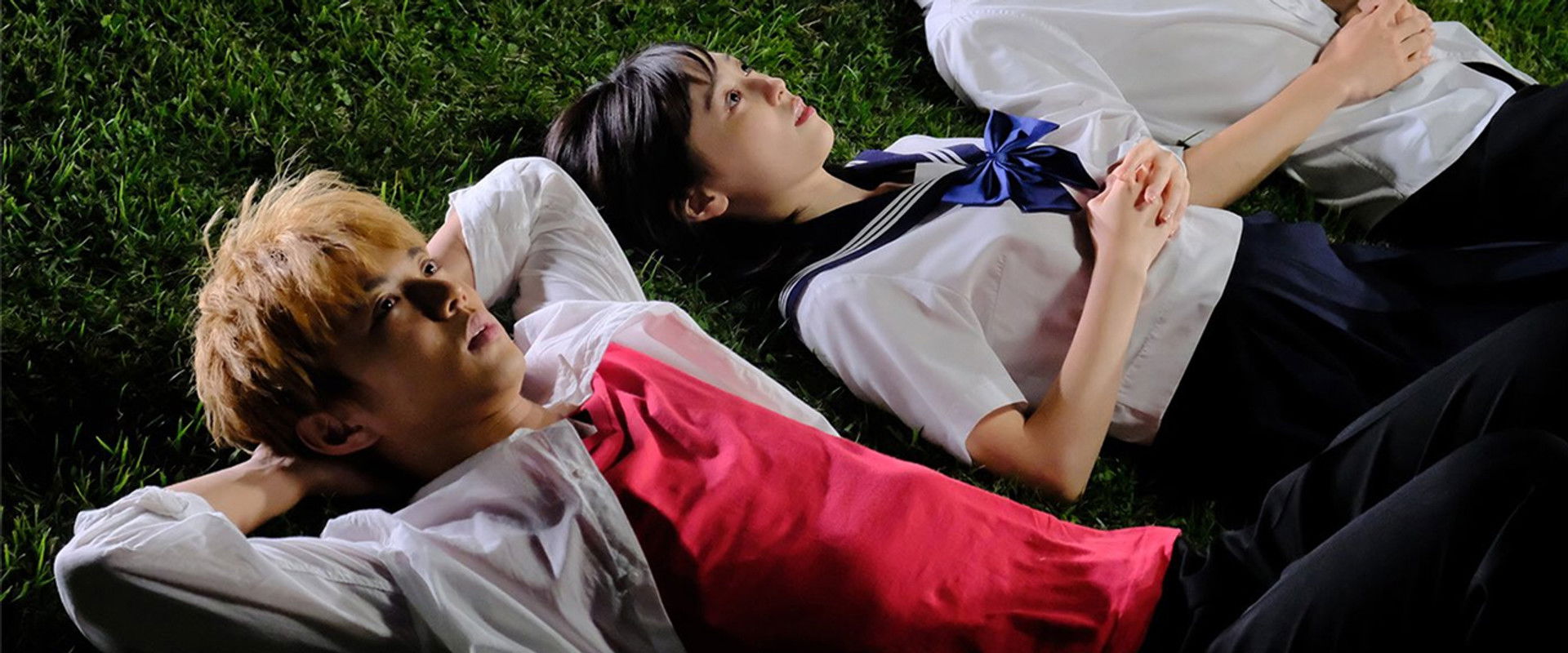 You Are Brilliant Like a Spica backdrop