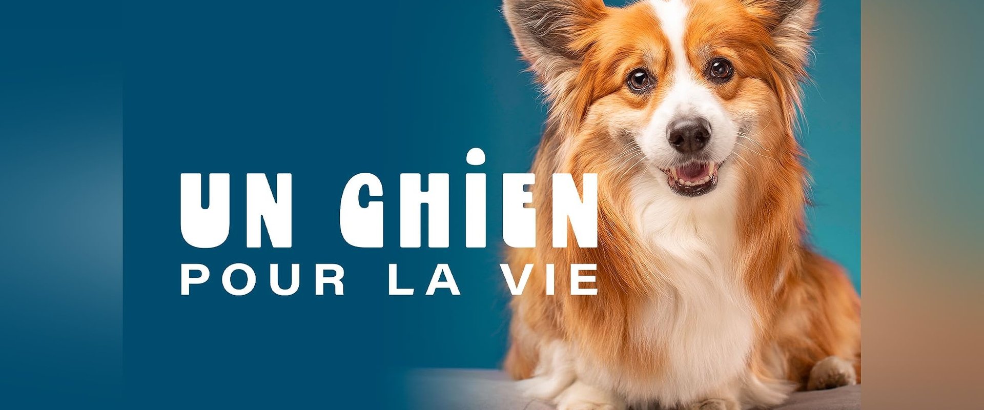 A Dog For Life