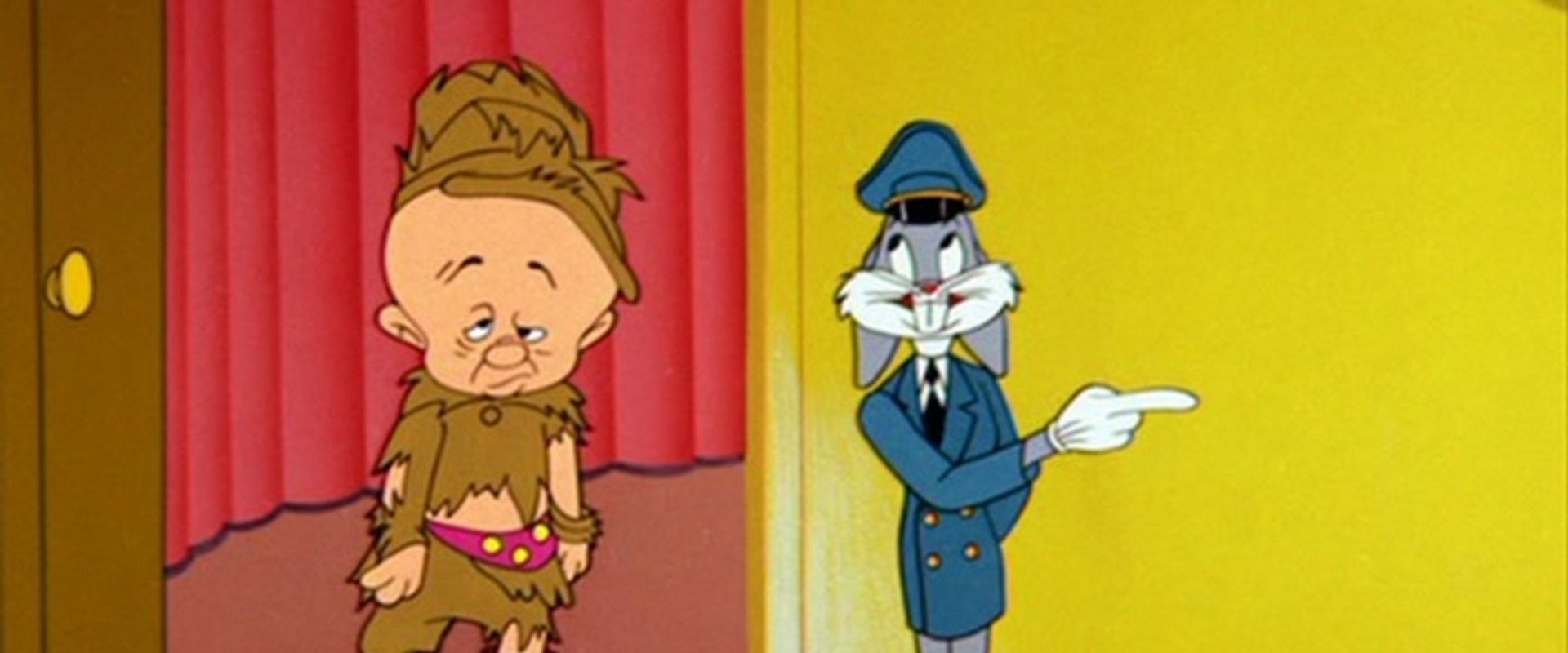 Wideo Wabbit backdrop