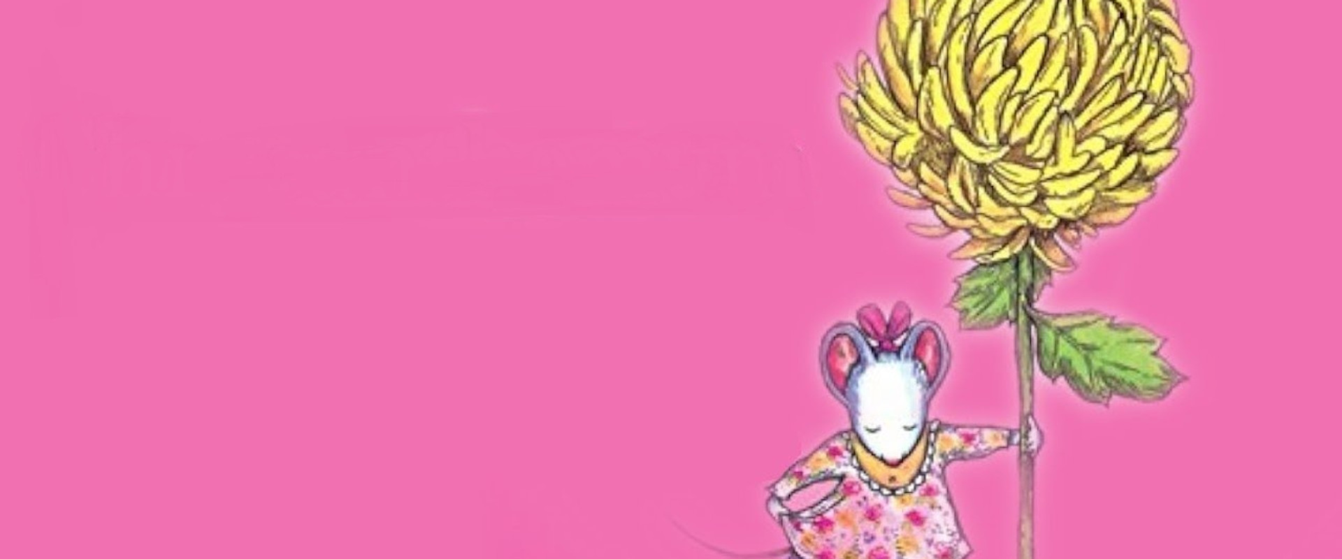 Chrysanthemum backdrop