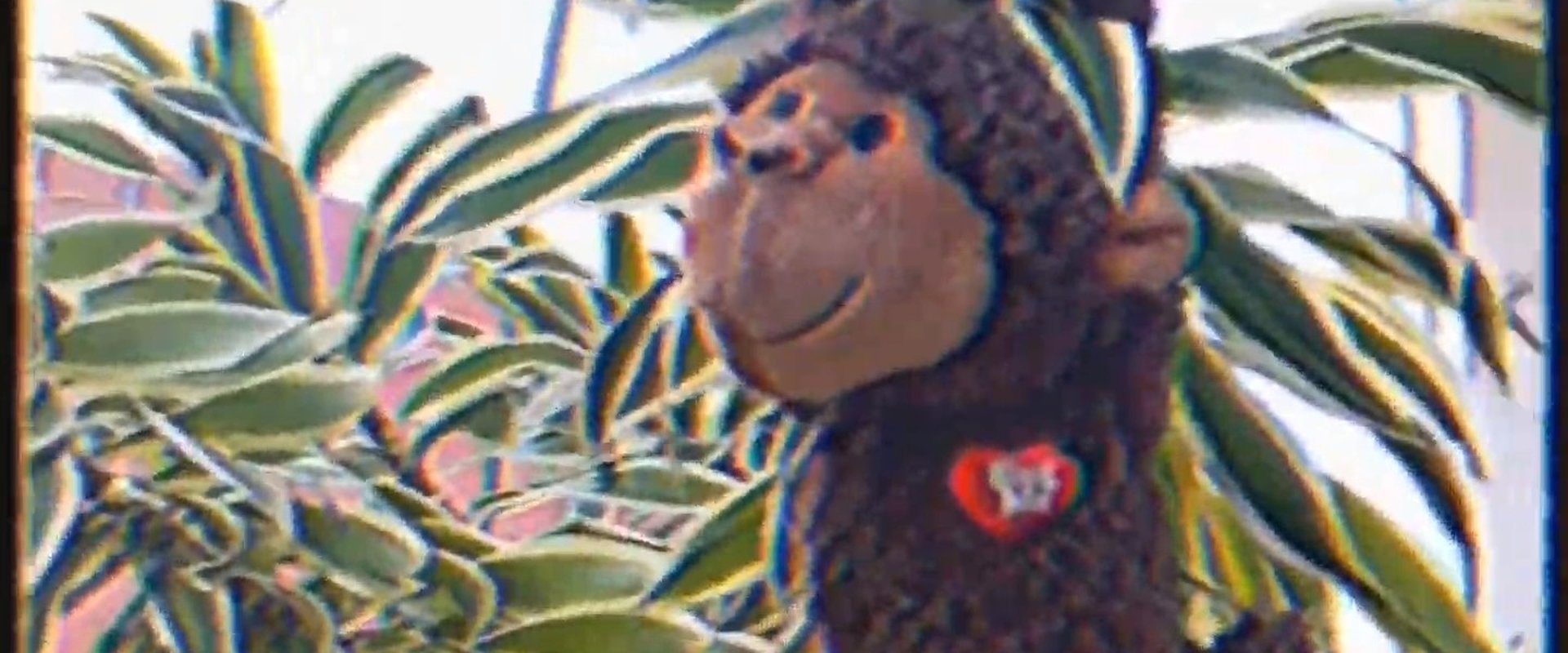 ATASCAU