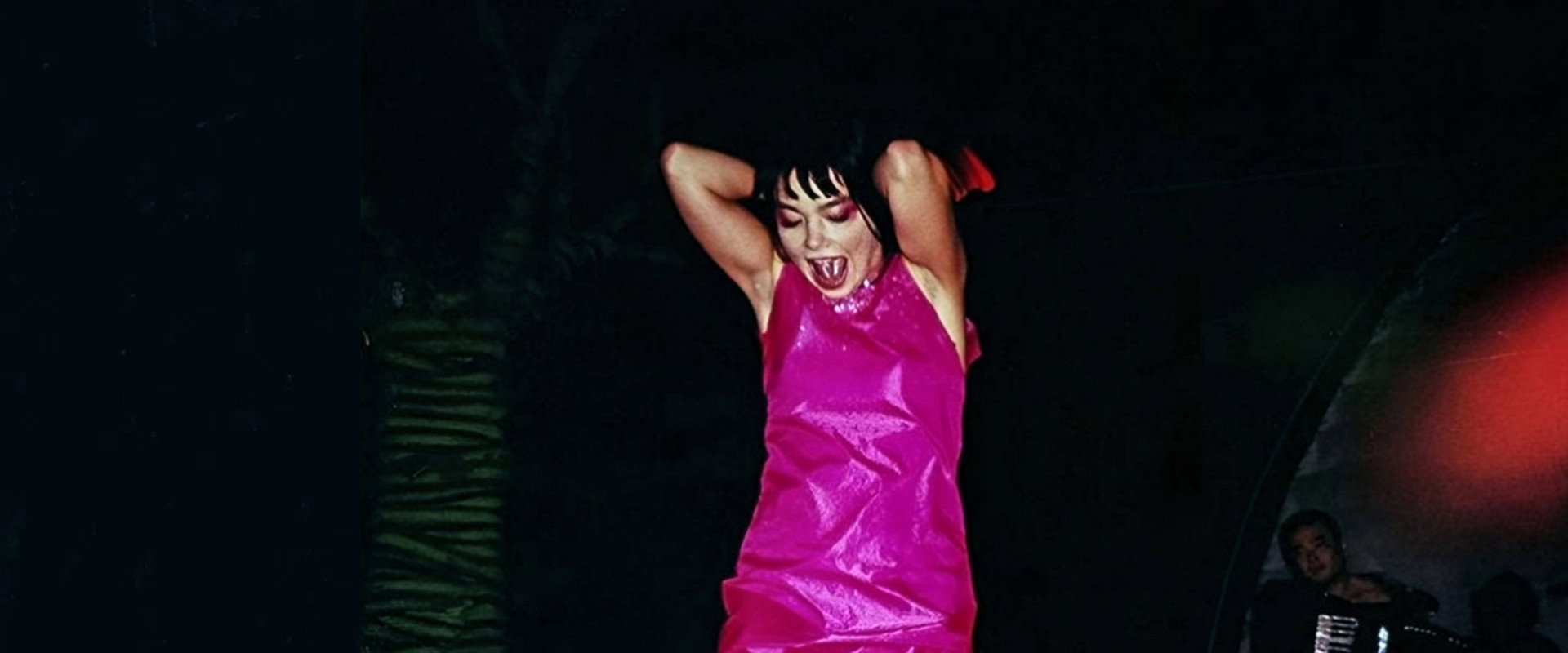 Björk: Shepherd's Bush Empire 1997 backdrop