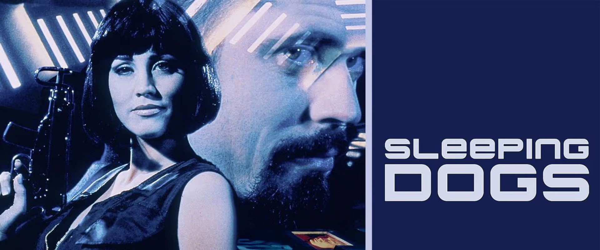 Sleeping Dogs backdrop