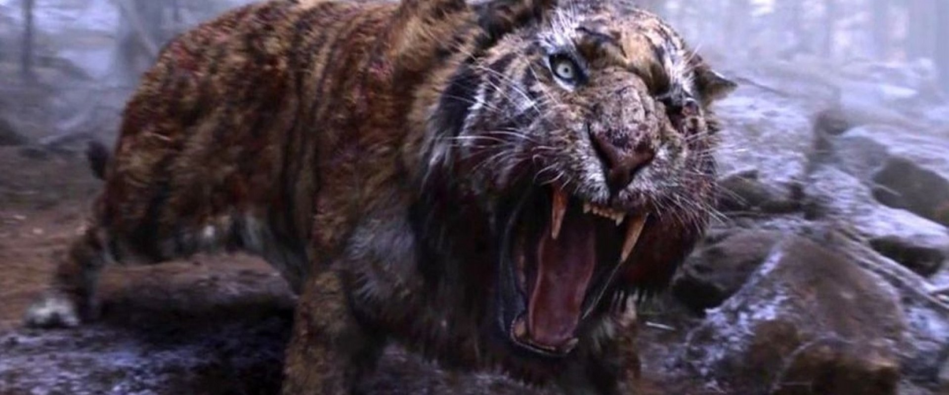 The Tiger