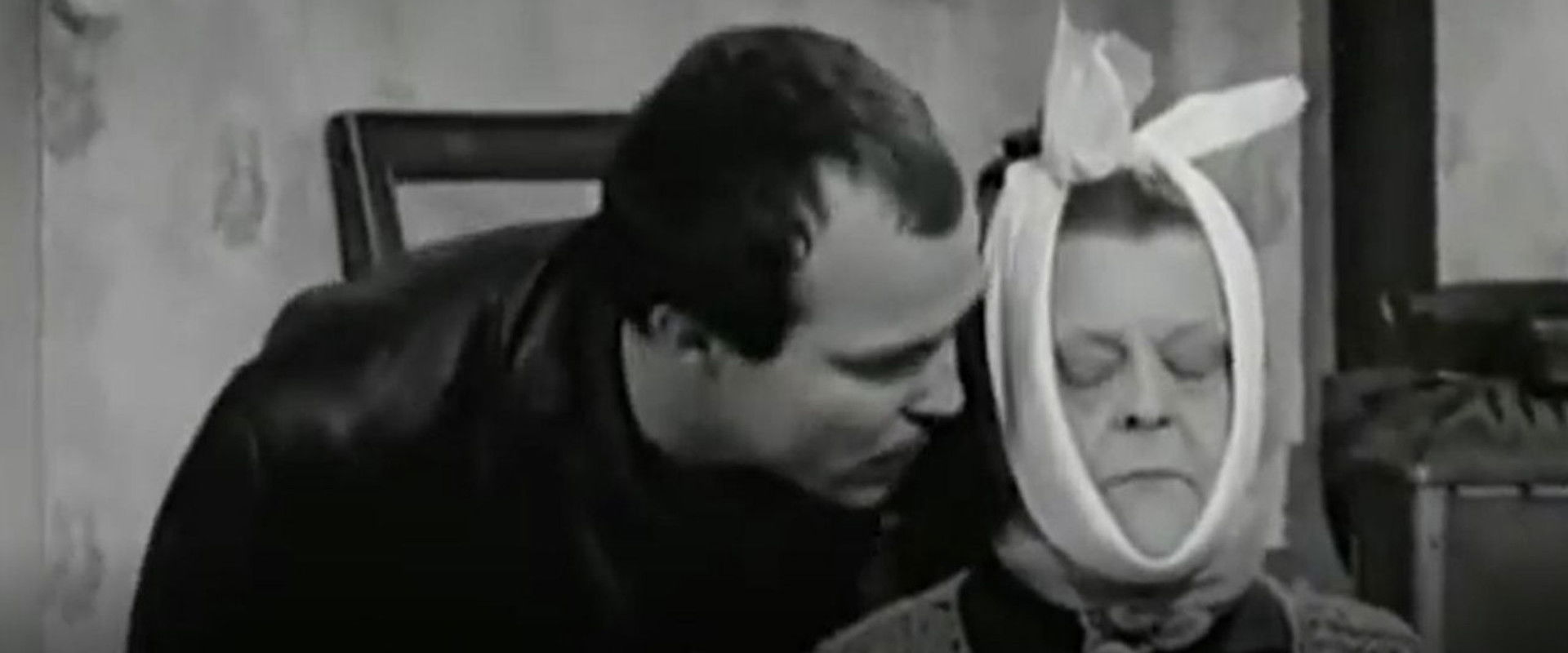 Fekete macska backdrop