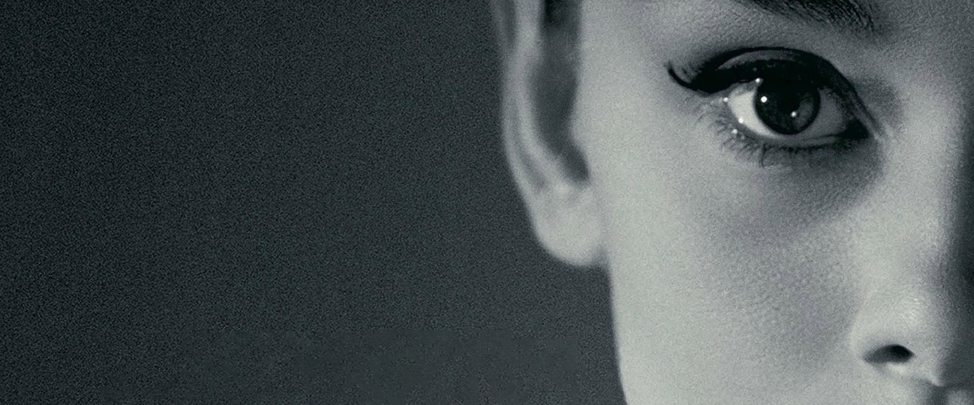 Cameraman: The Life and Work of Jack Cardiff backdrop