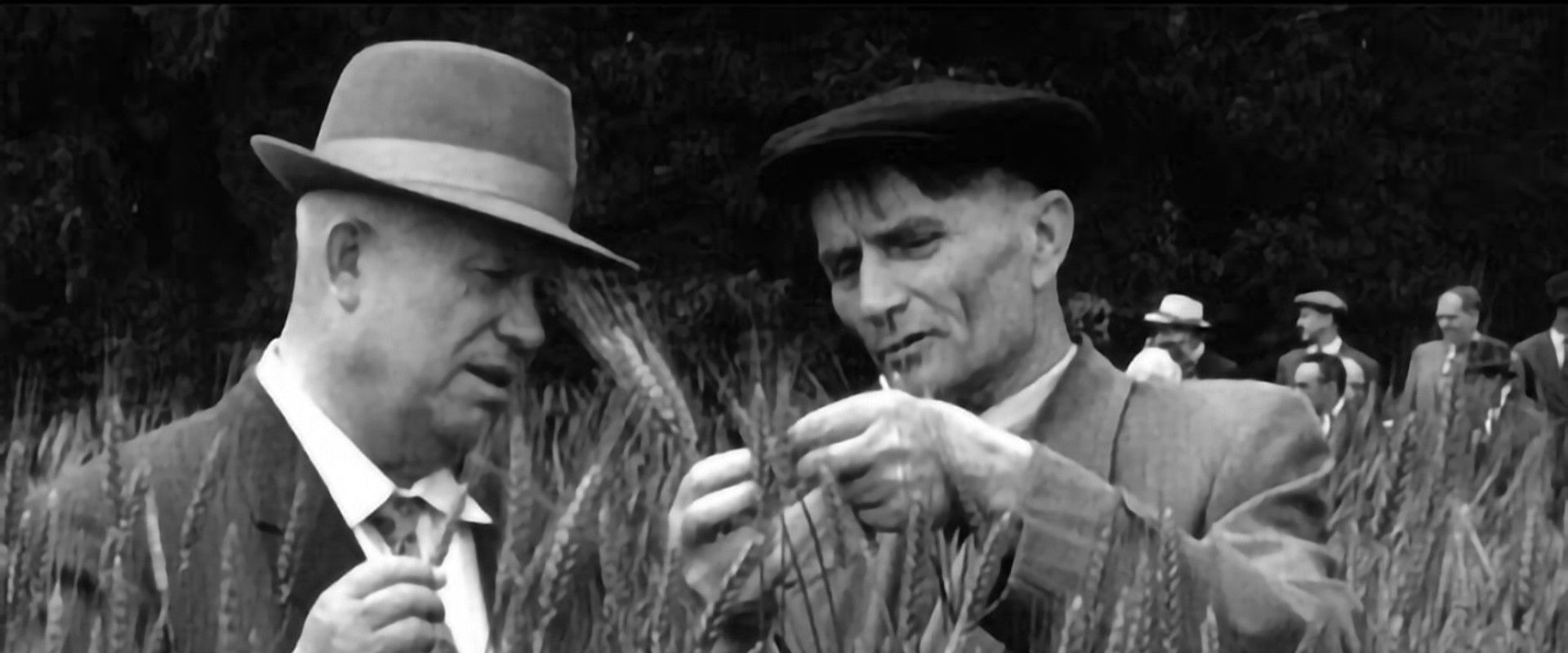 The Scientist, The Imposter and Stalin: How to Feed the People backdrop