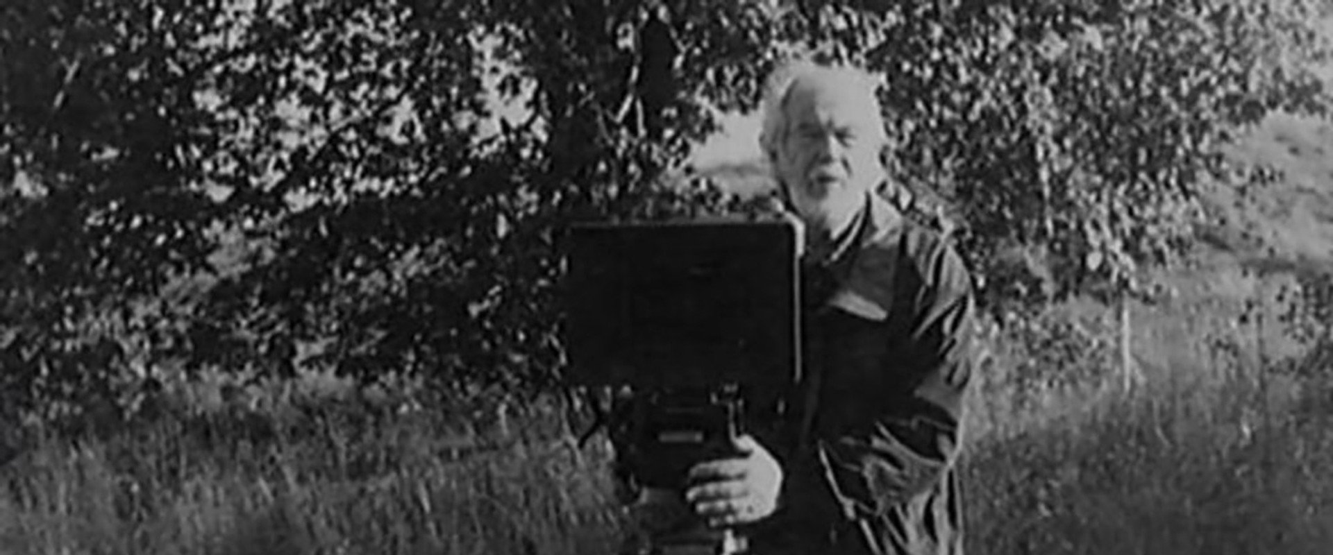 Lumière & Company backdrop