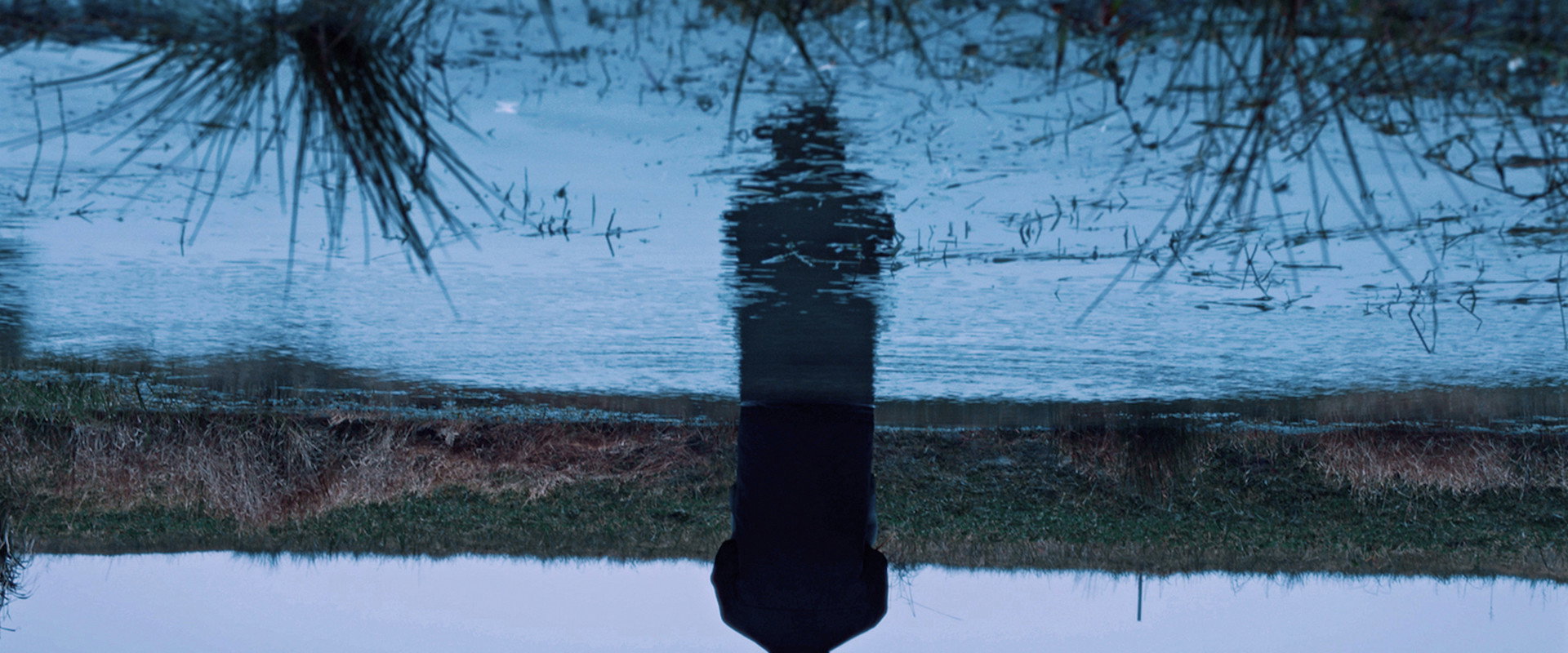 A Short Story backdrop