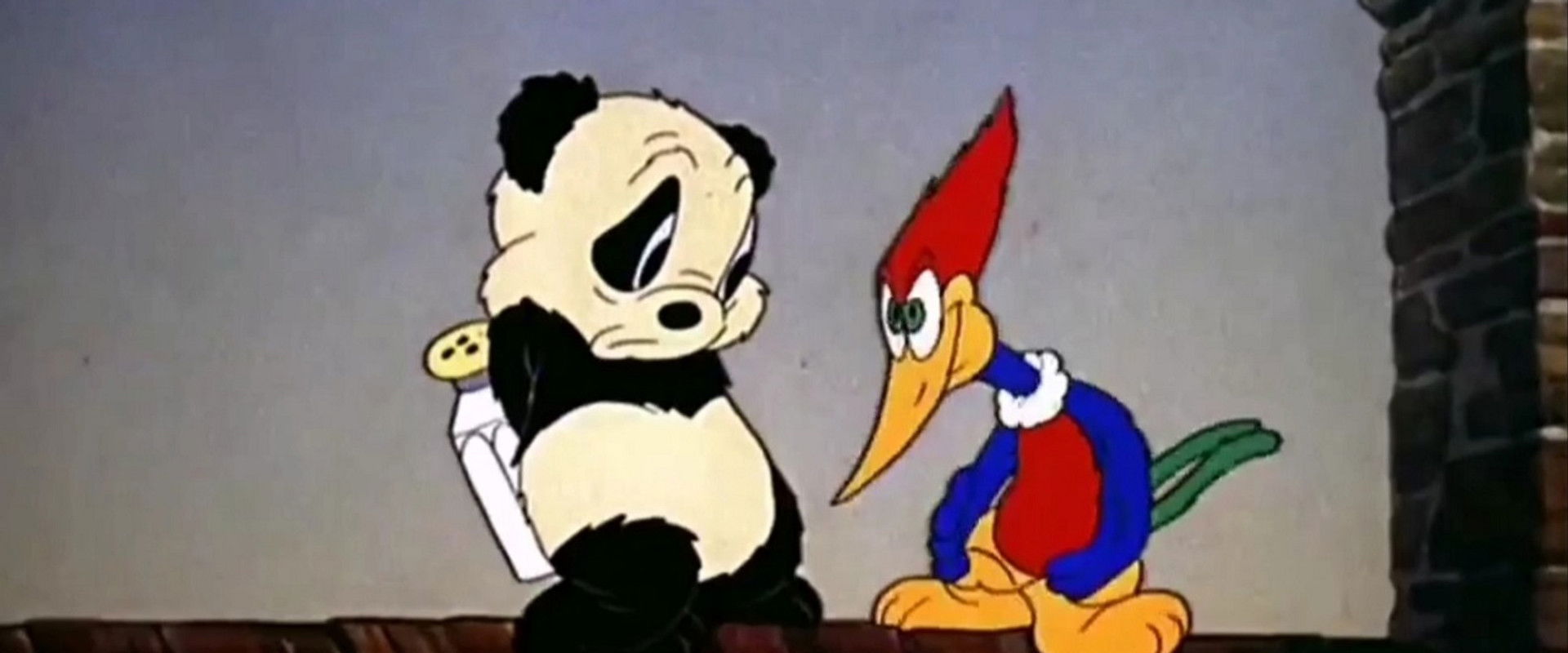 Knock Knock backdrop