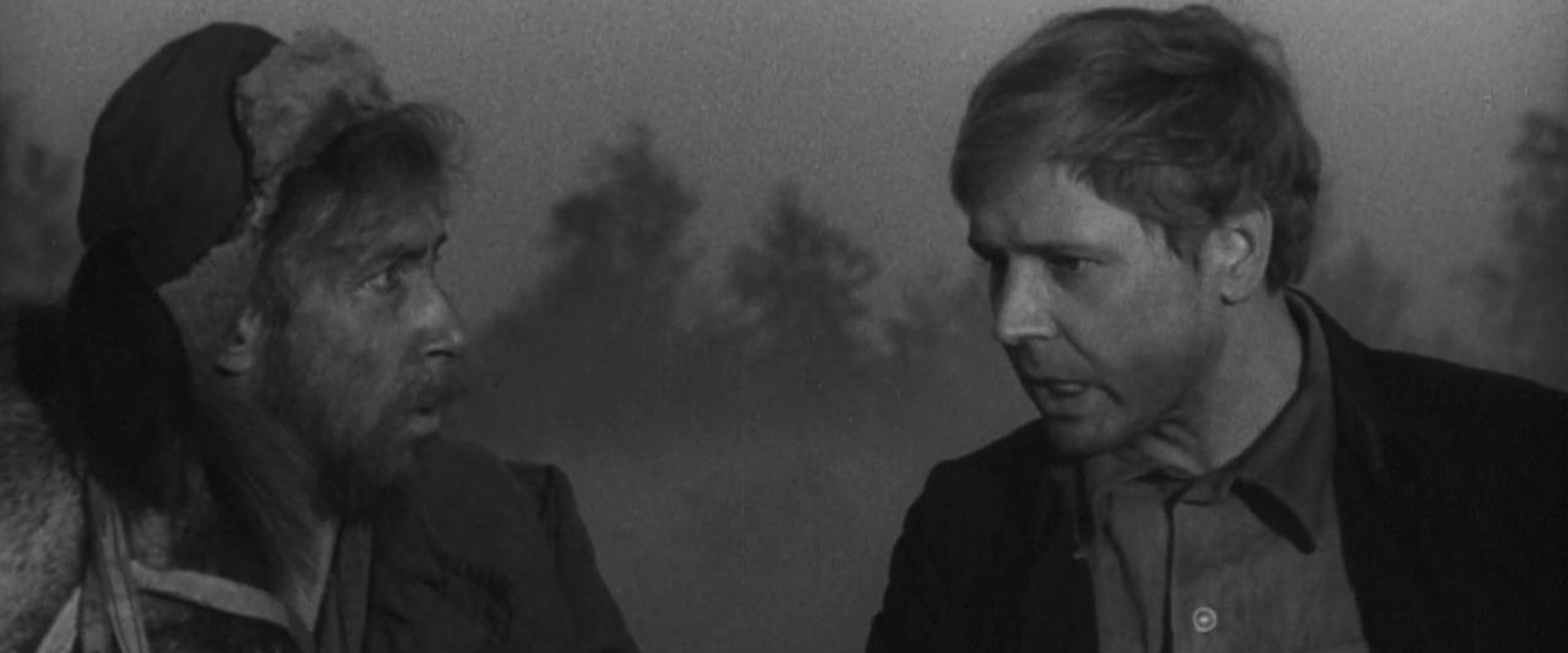 Wolves Pack backdrop