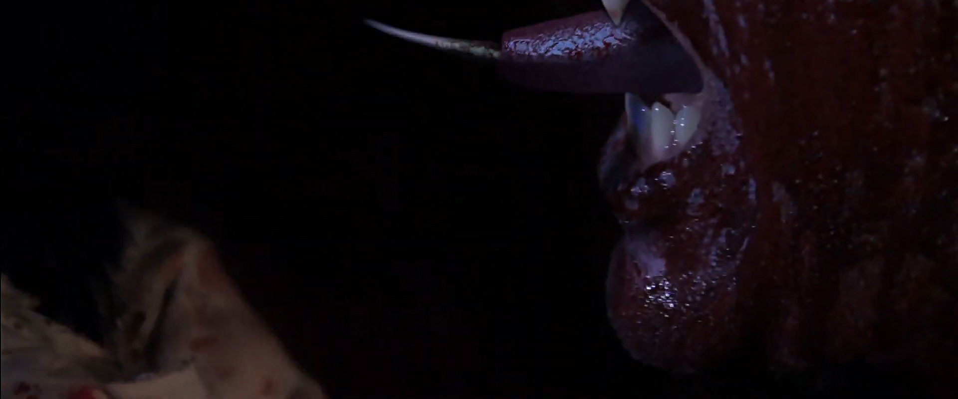 Sanguijuelas backdrop