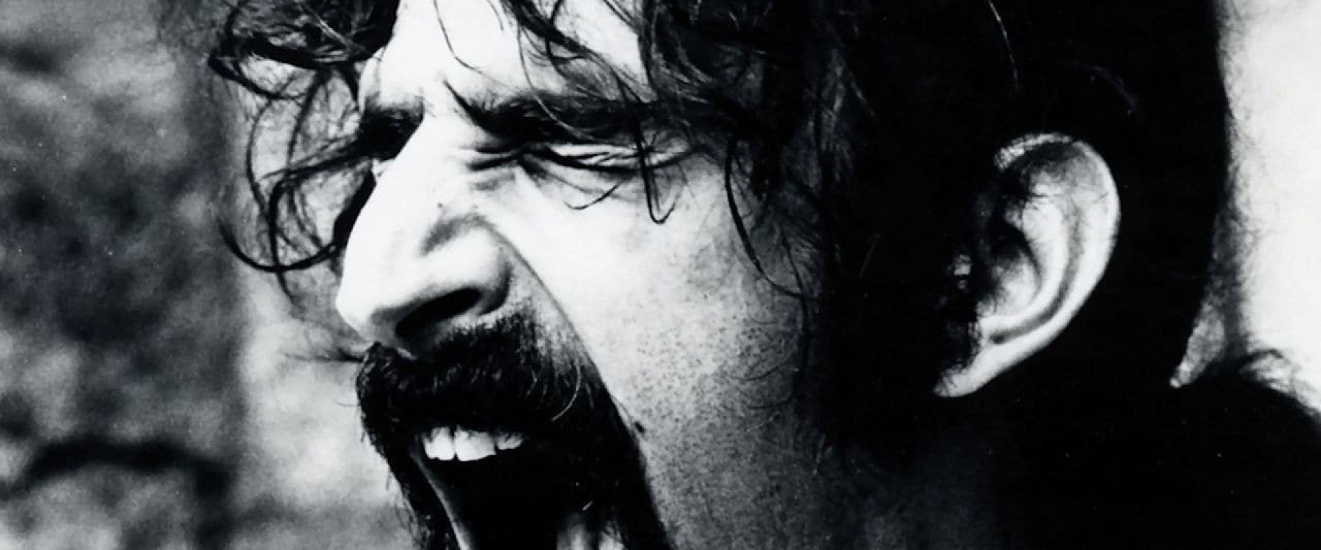 Frank Zappa: Does Humor Belong in Music? backdrop