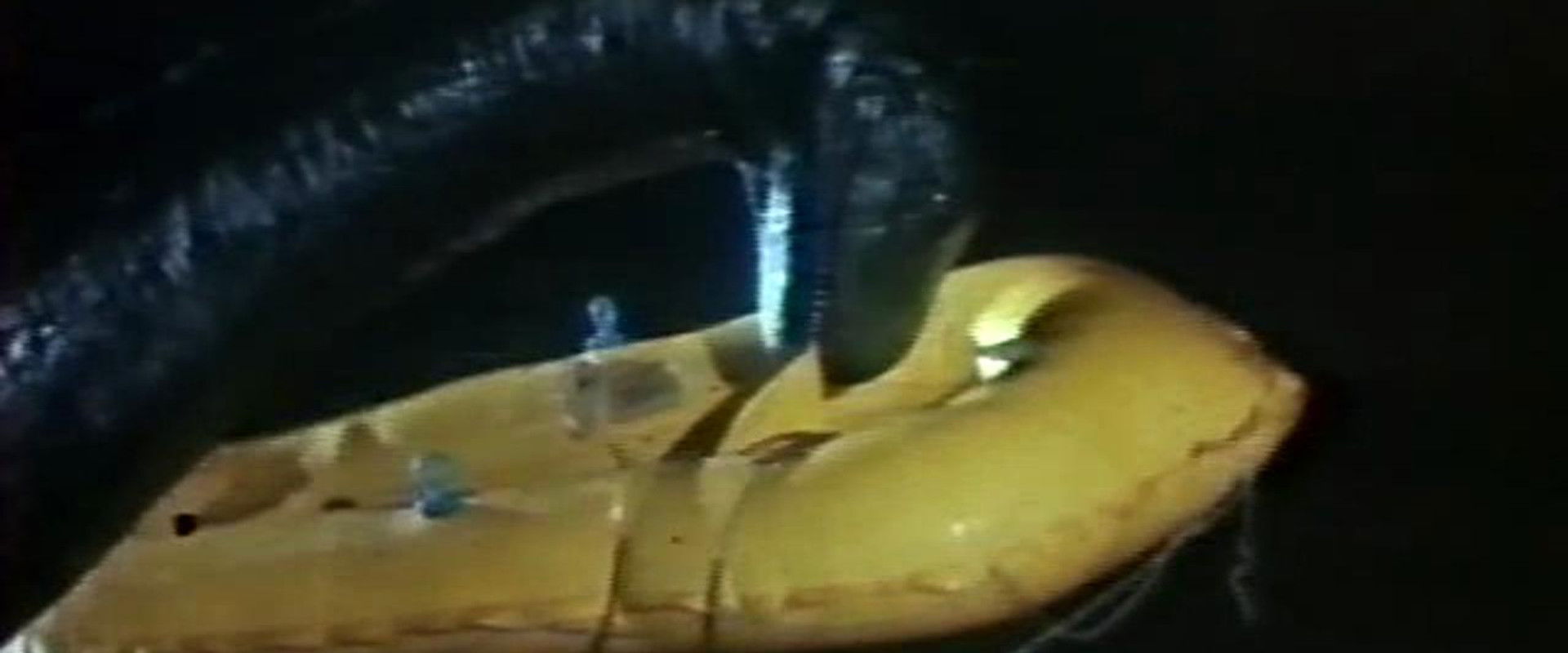 The Loch Ness Horror backdrop