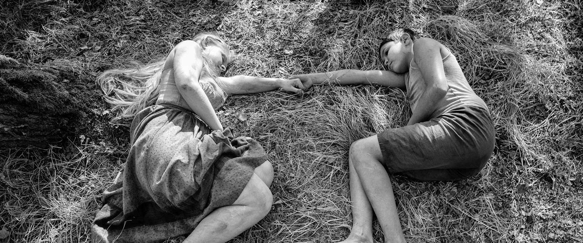 The Painted Bird backdrop