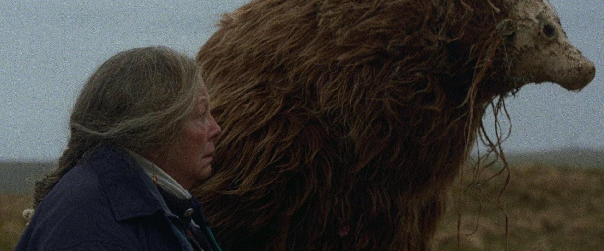 A Bear Remembers backdrop