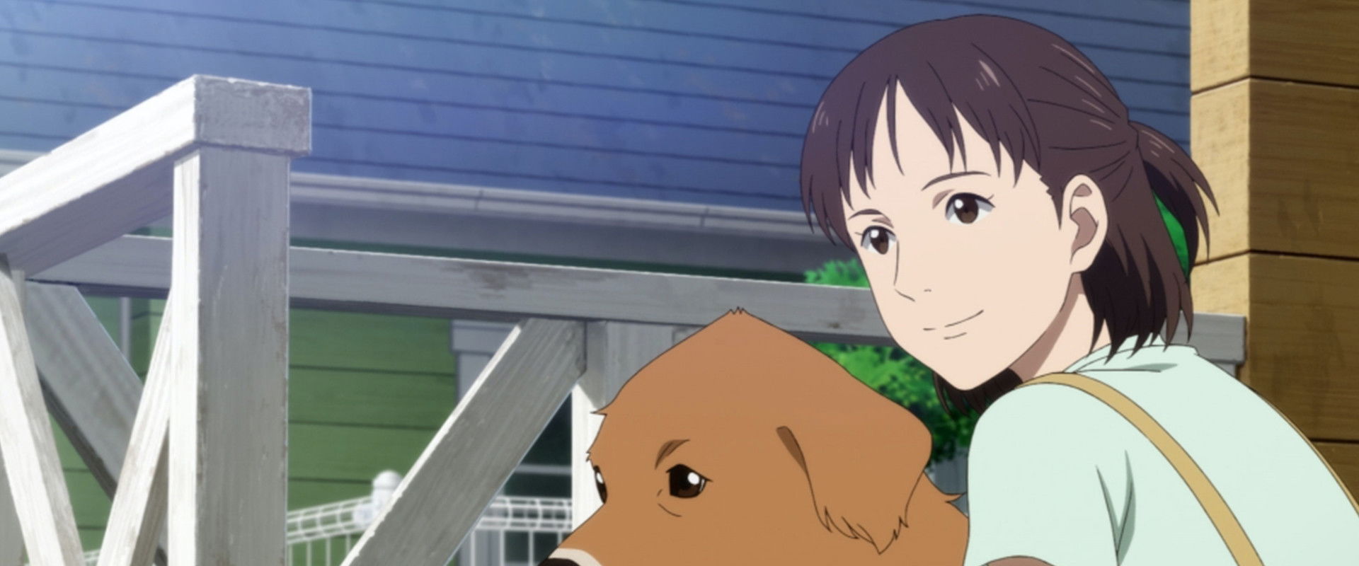 Pointy-Headed Gonta: The Story of the Two-Named Dog in the Fukushima Disaster backdrop