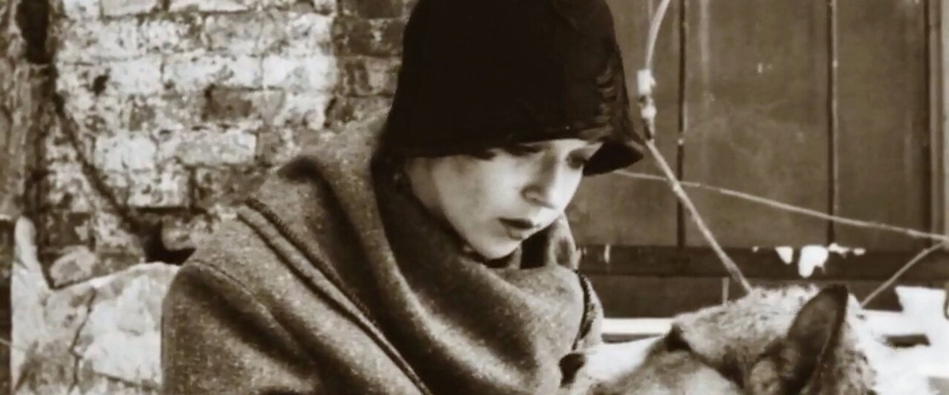 Heart of a Dog backdrop