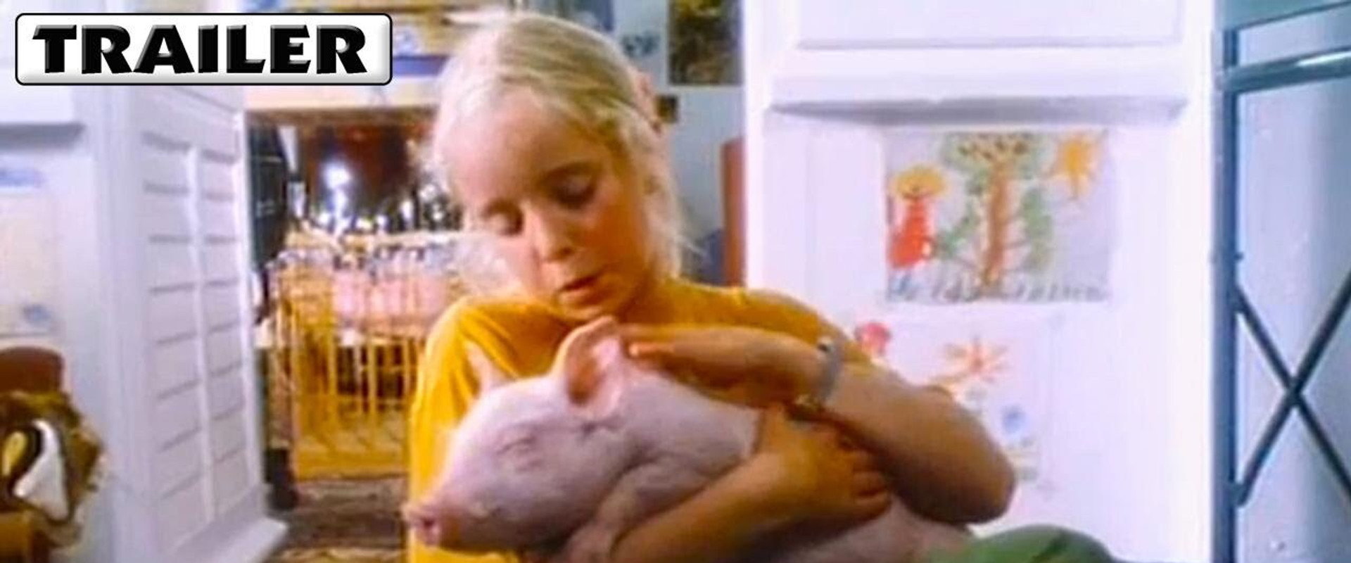 Rudy, the Racing Pig backdrop