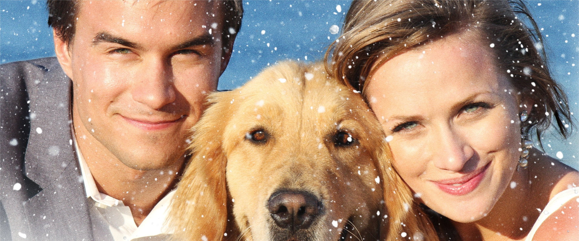 A Golden Christmas 3 backdrop