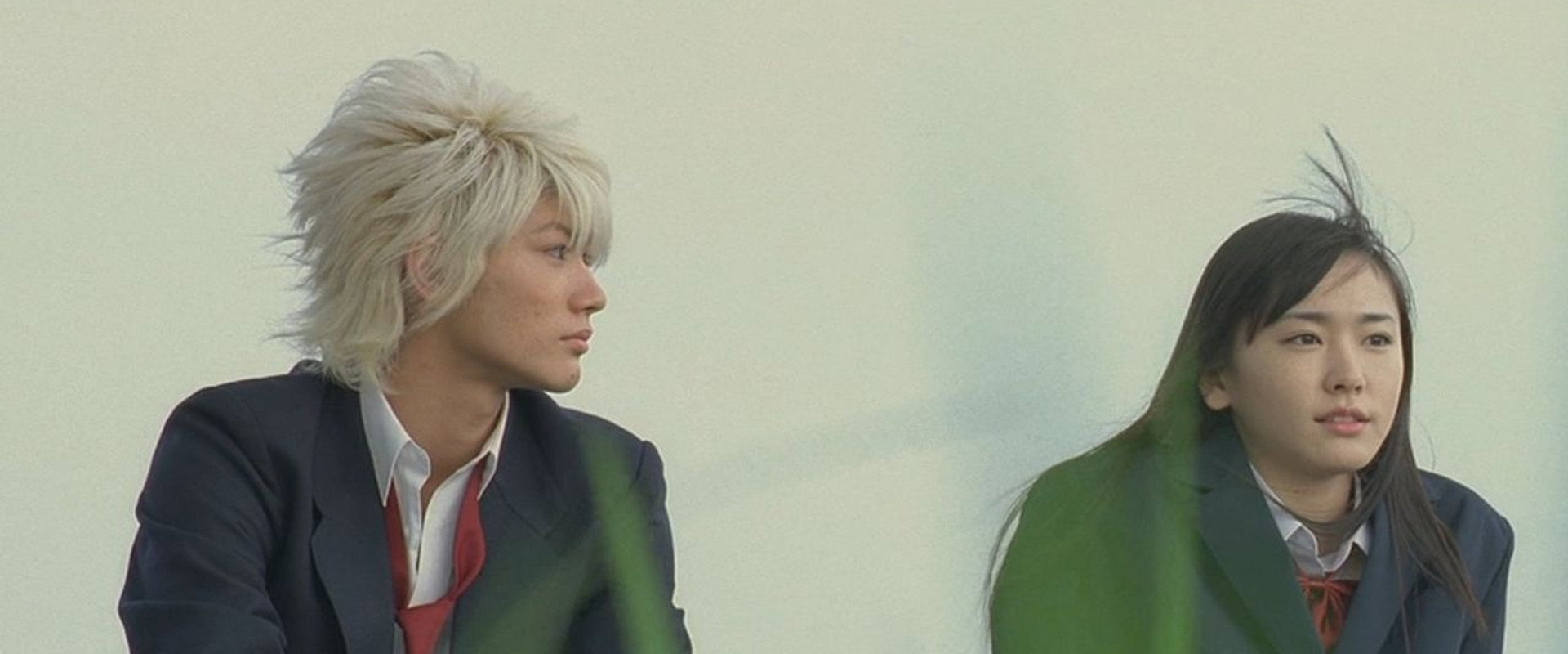 Sky of Love backdrop