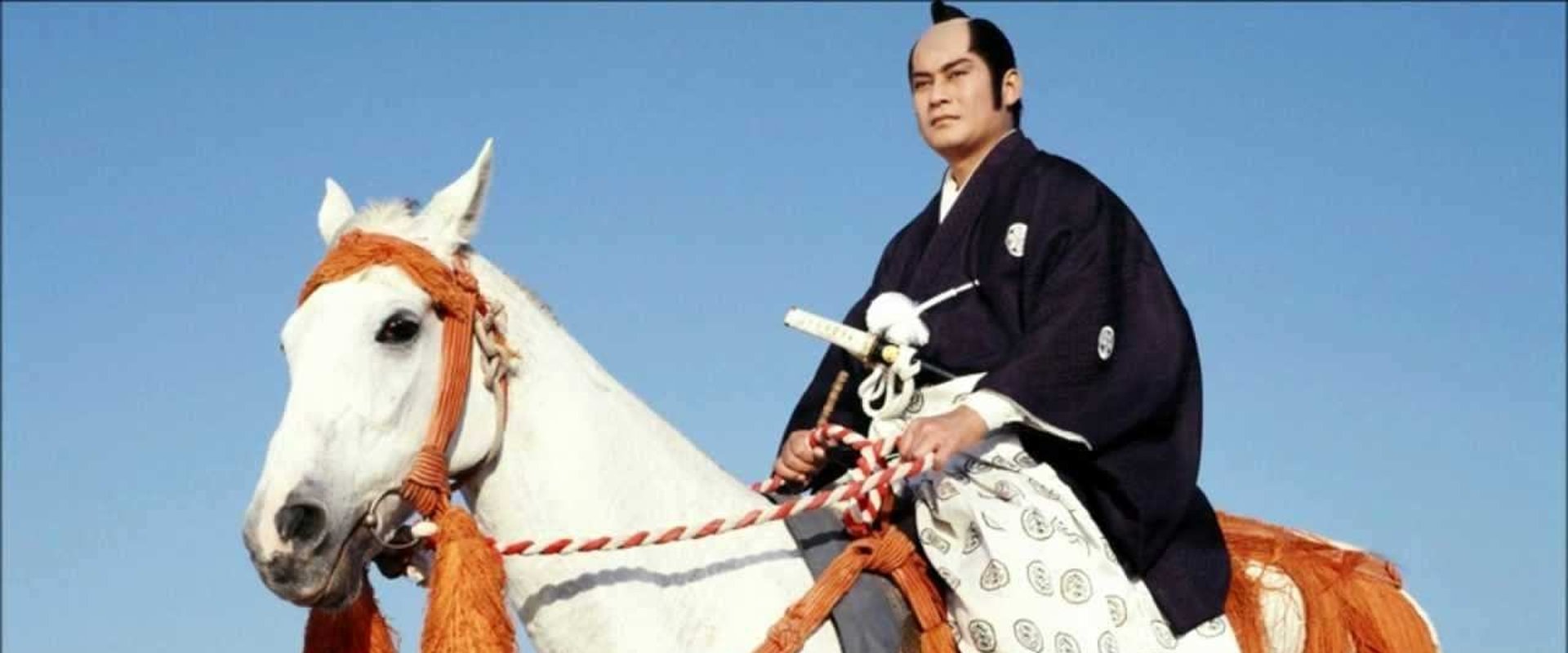 The Unfettered Shogun