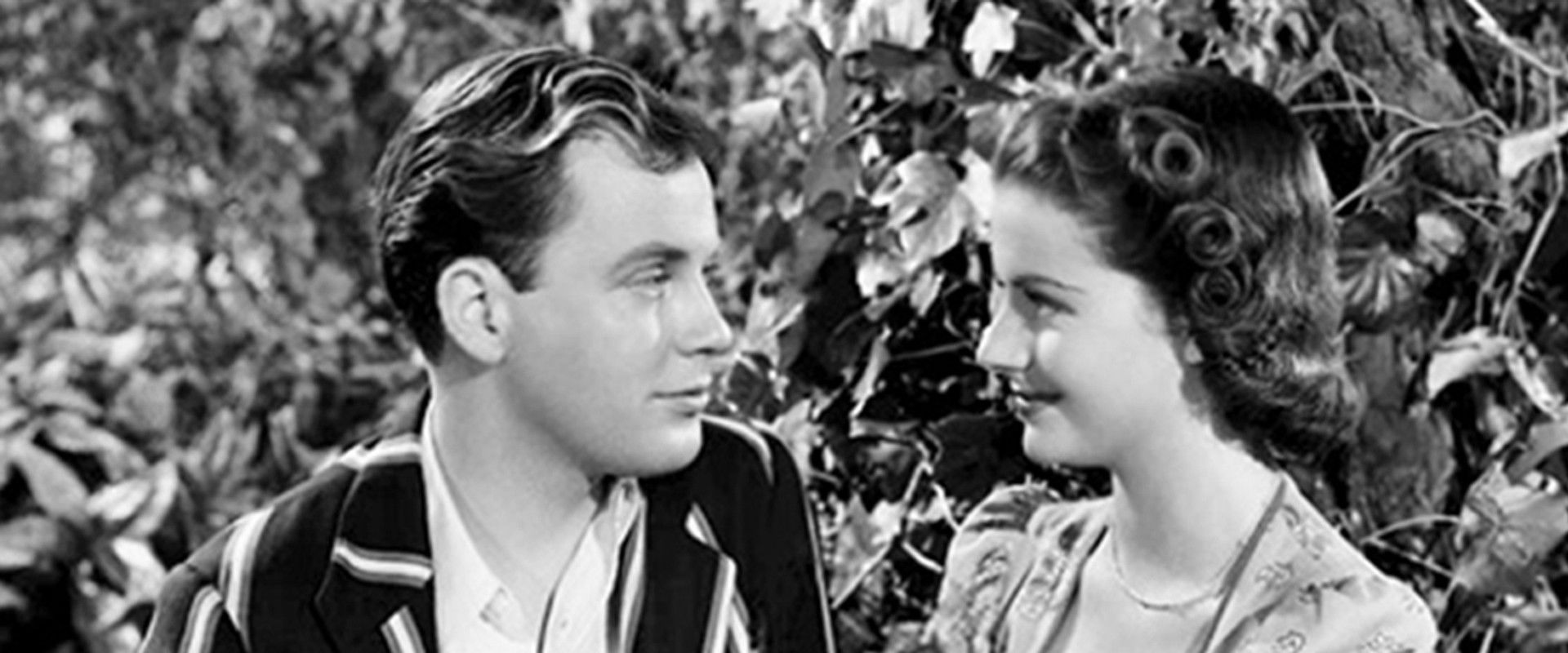 Quiet Wedding backdrop