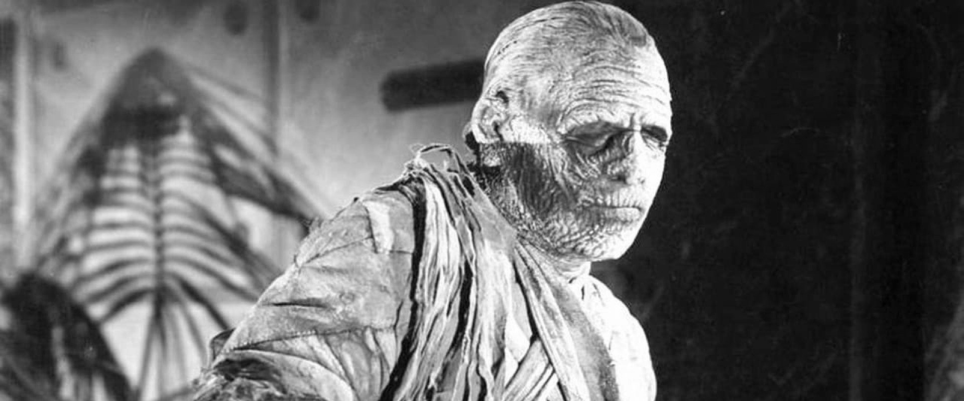 The Mummy's Tomb backdrop