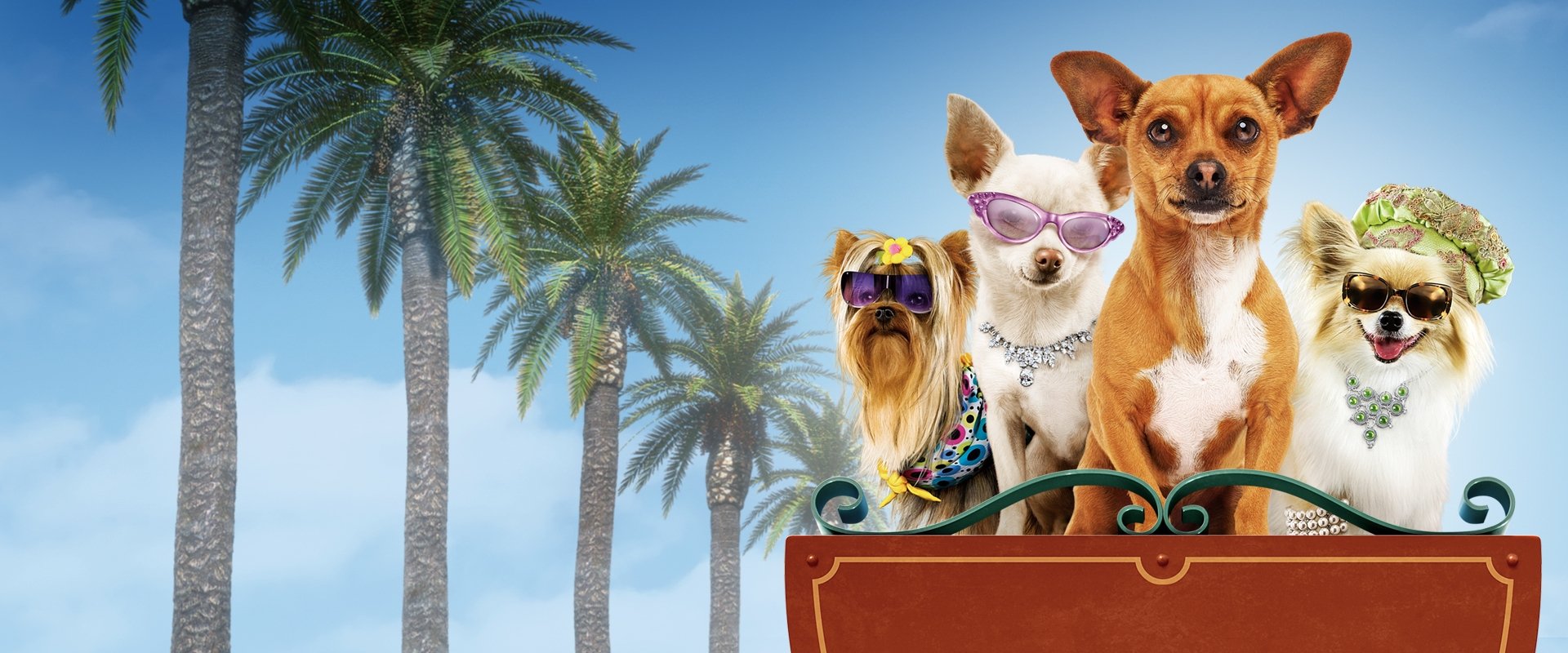 Beverly Hills Chihuahua backdrop