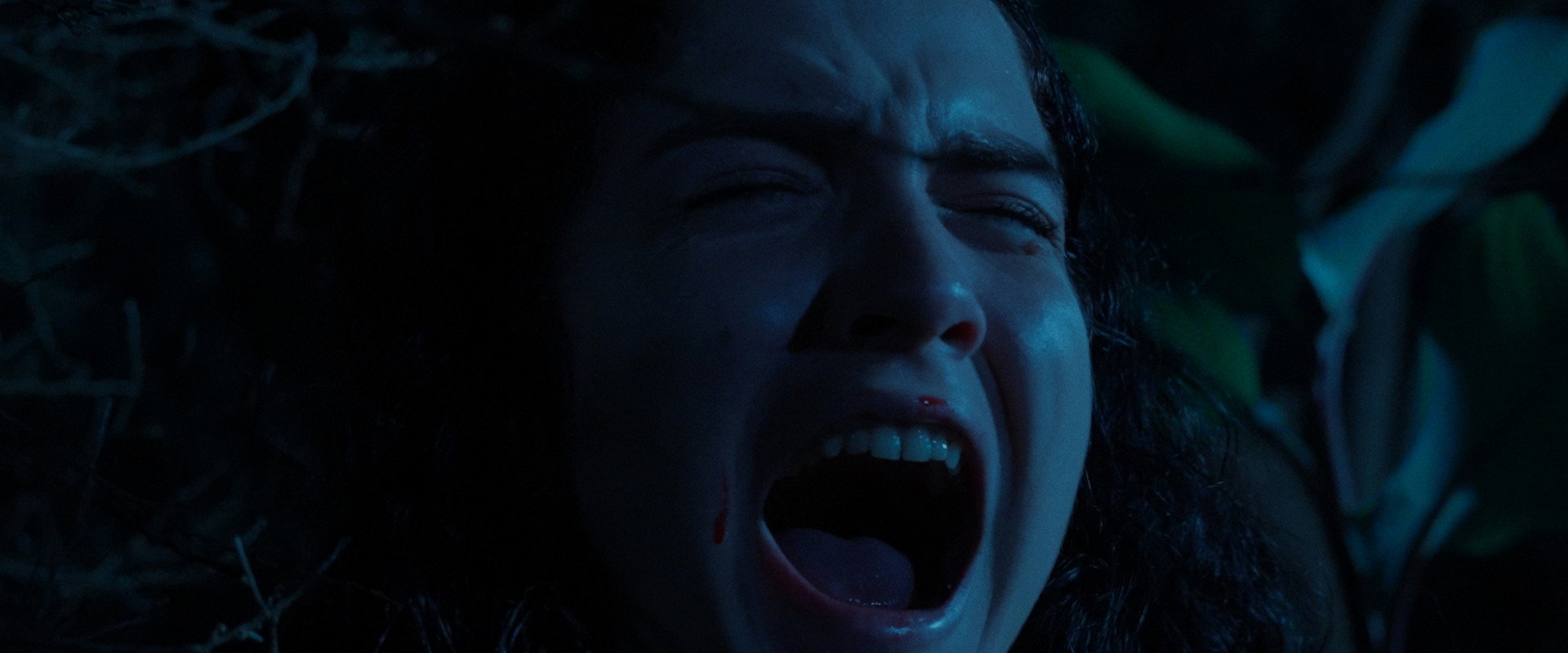 El llanto del perro backdrop