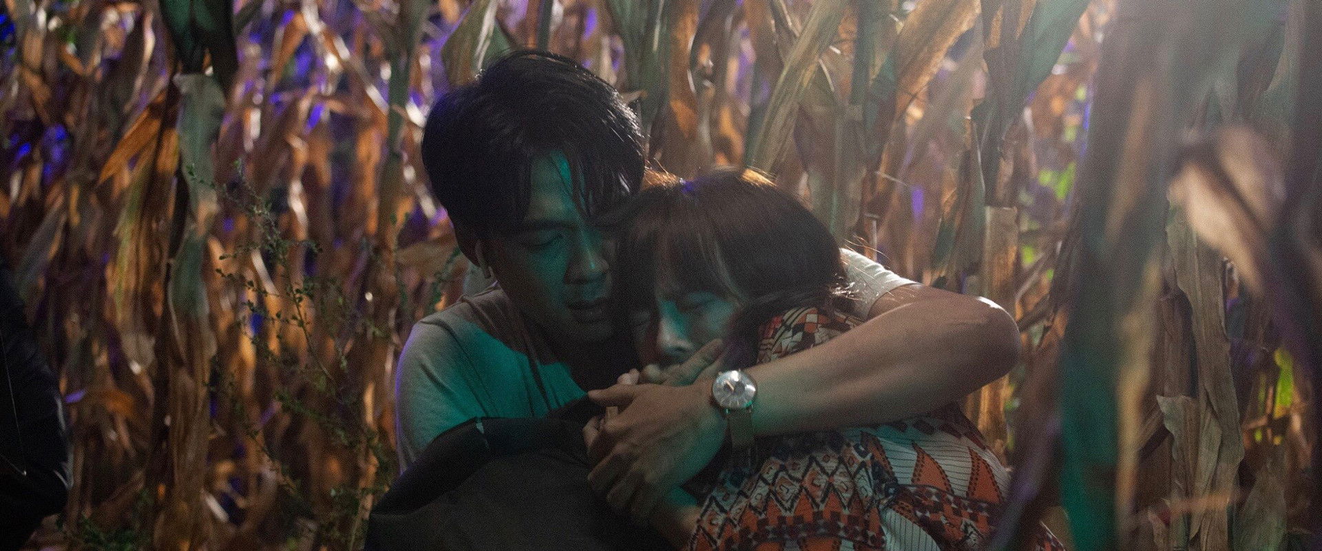 Fearless Love backdrop