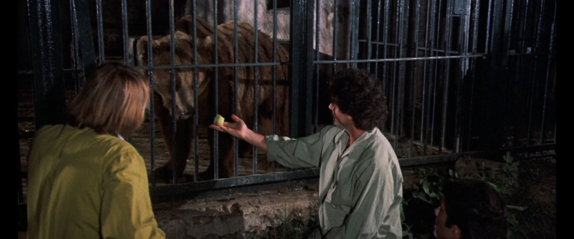 Wild Beasts backdrop