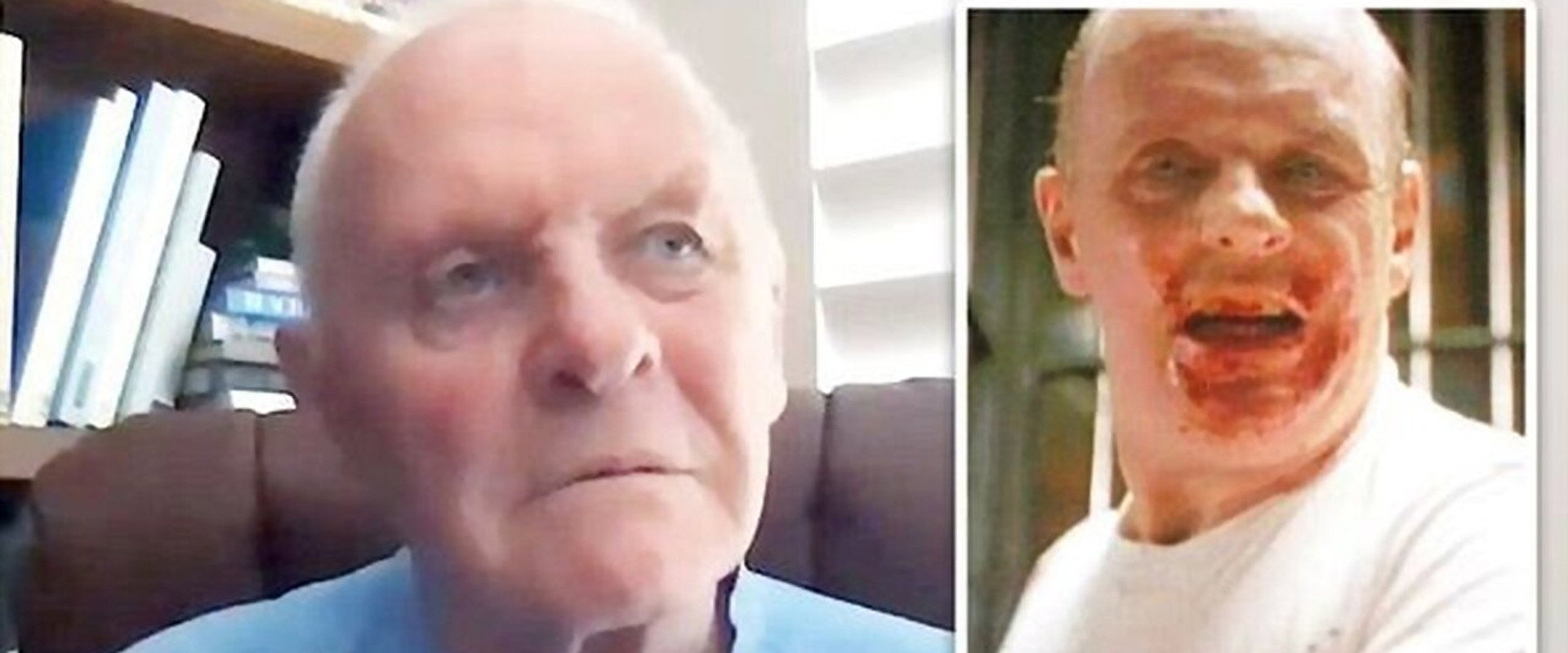 Hannibal Hopkins & Sir Anthony backdrop