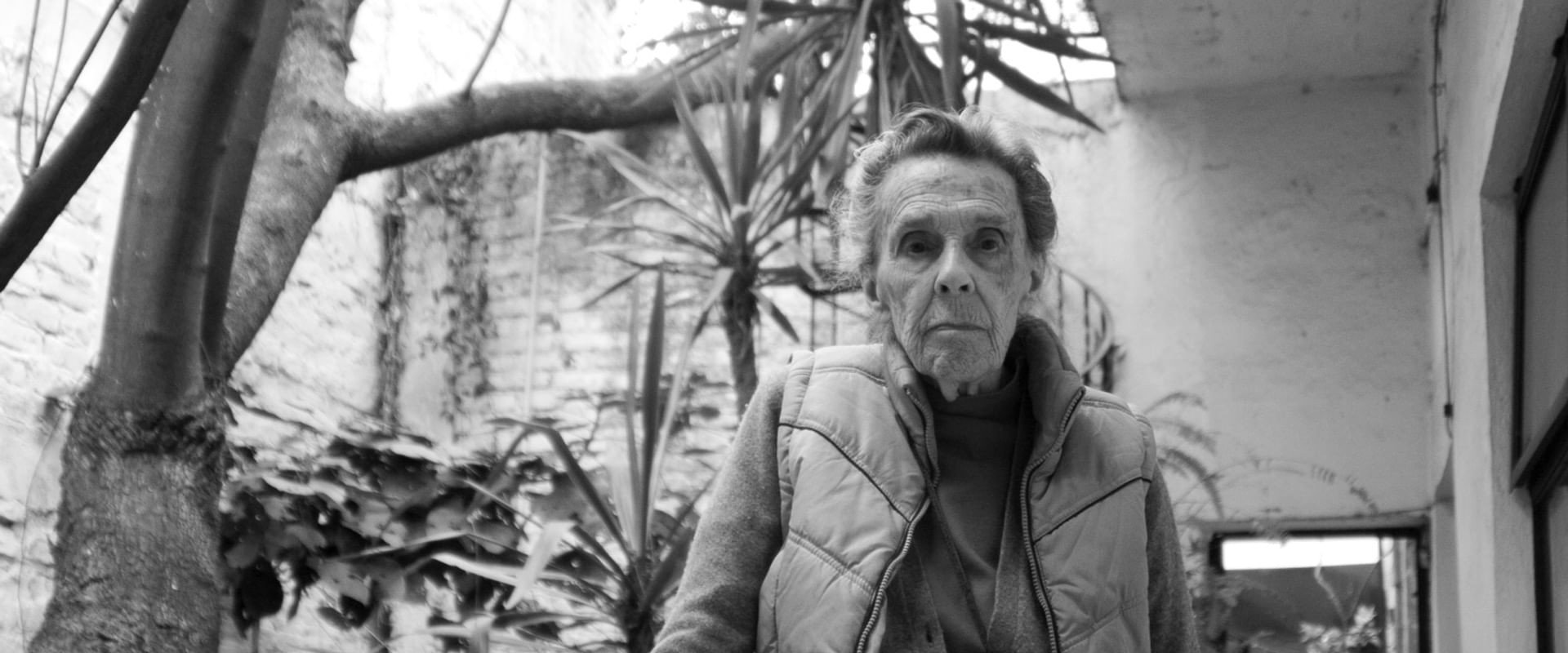 Leonora Carrington: The Lost Surrealist backdrop
