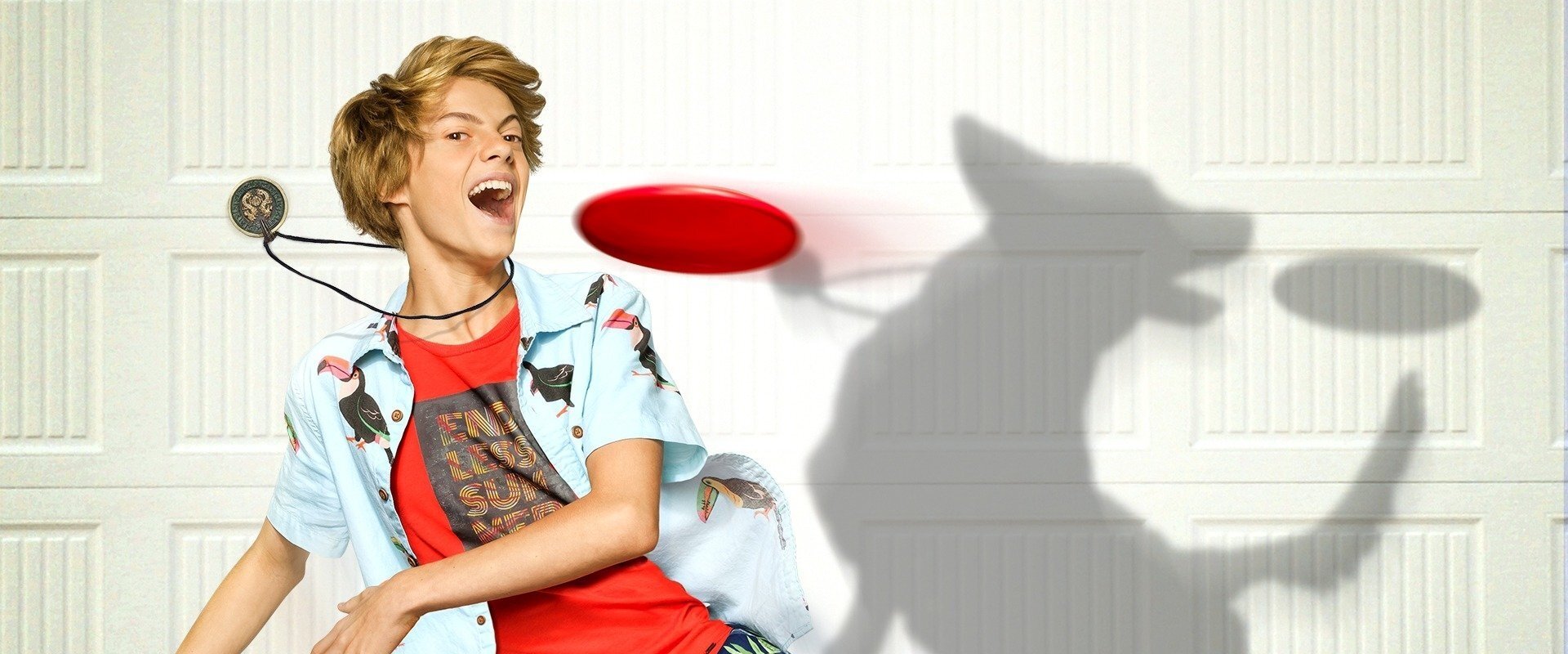 Rufus backdrop