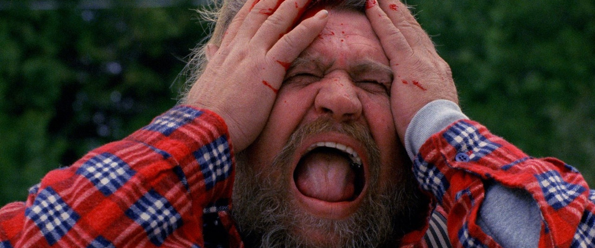 The American Scream backdrop