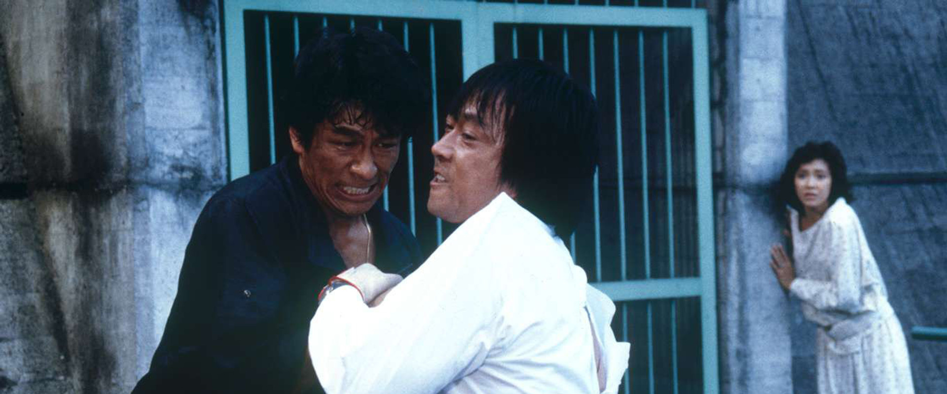 Karate Cop 5 backdrop