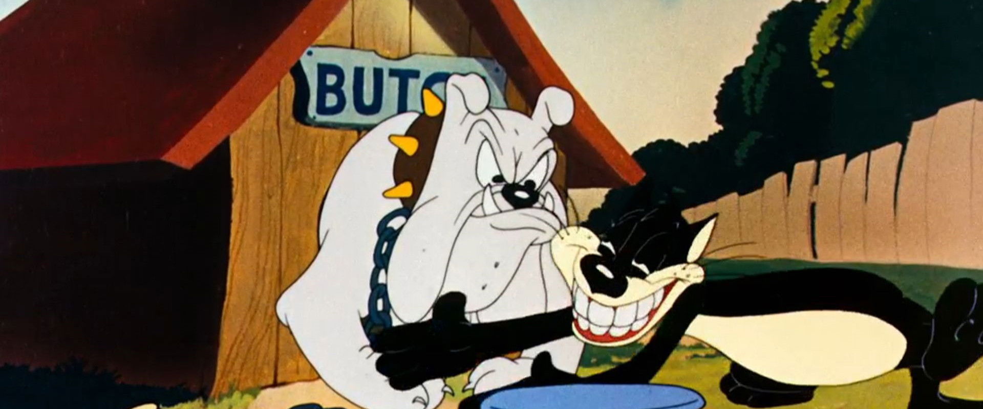 Birdy and the Beast backdrop