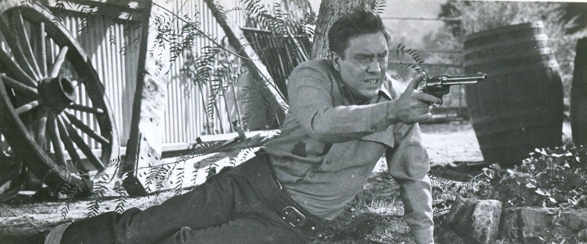 Cow Country backdrop