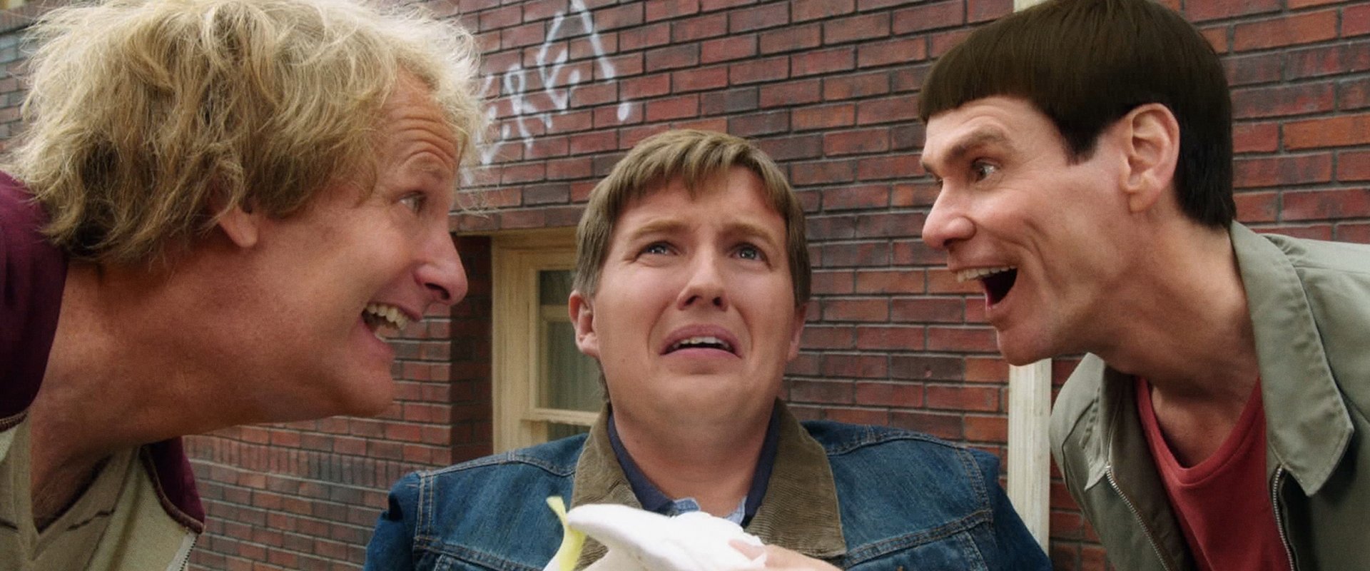 Dumb and Dumber To backdrop
