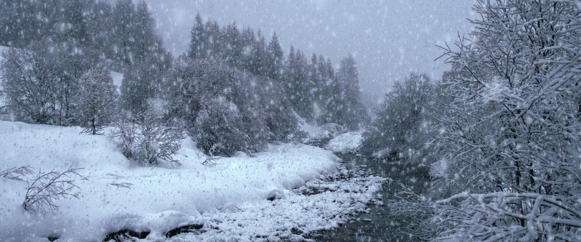The Search for Snow backdrop