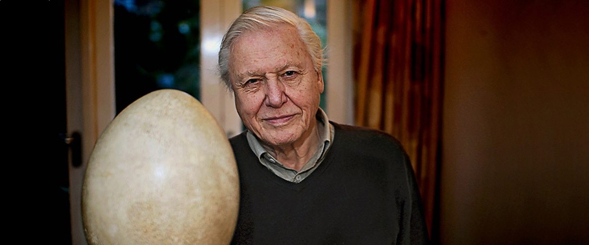 Attenborough and the Giant Egg backdrop