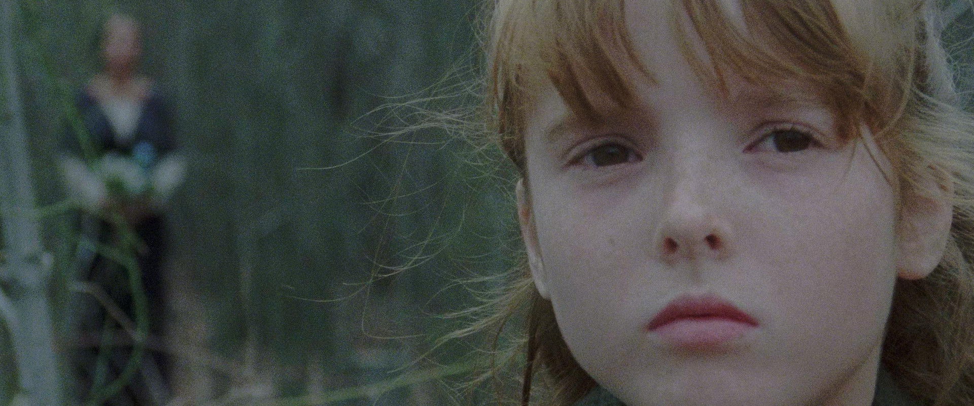 The House by the Cemetery backdrop