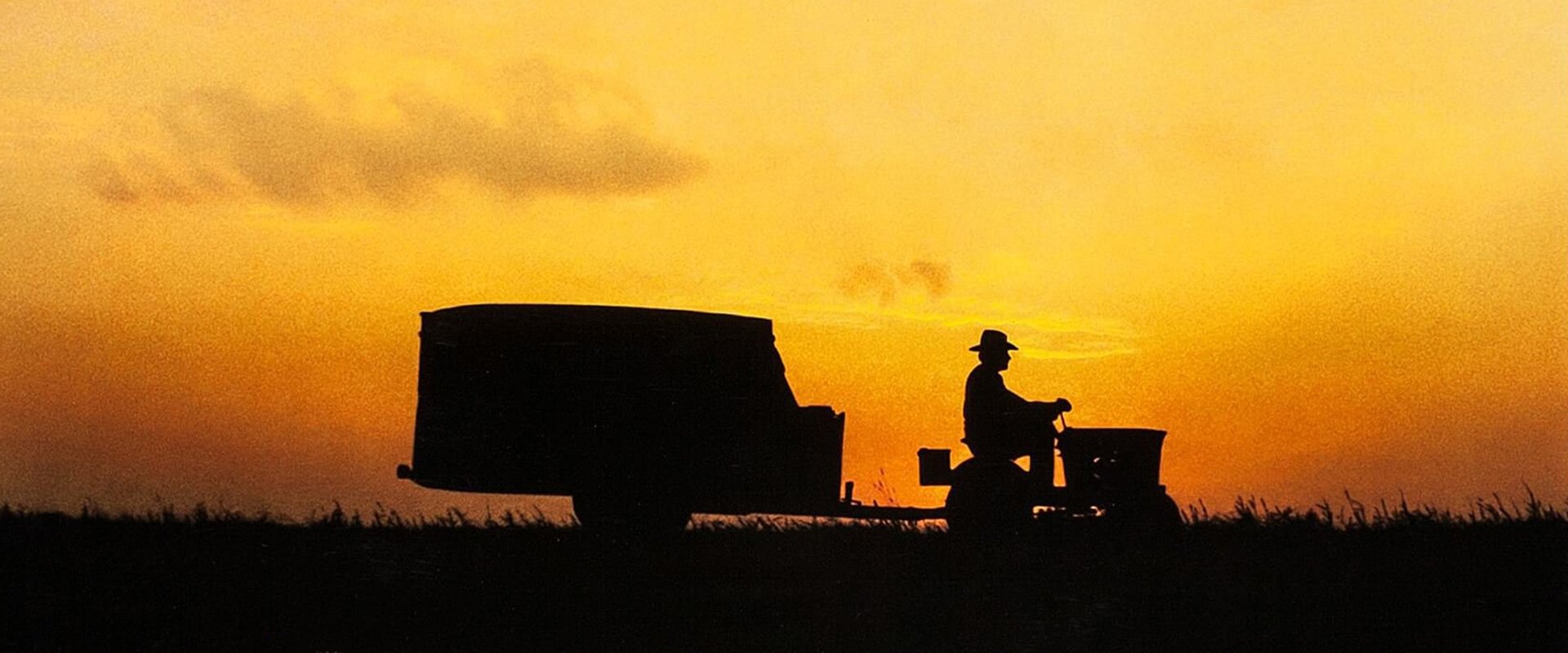The Straight Story backdrop