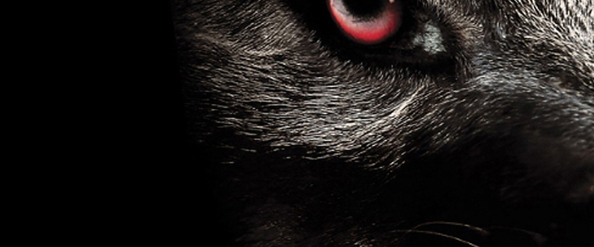 Monsterwolf backdrop